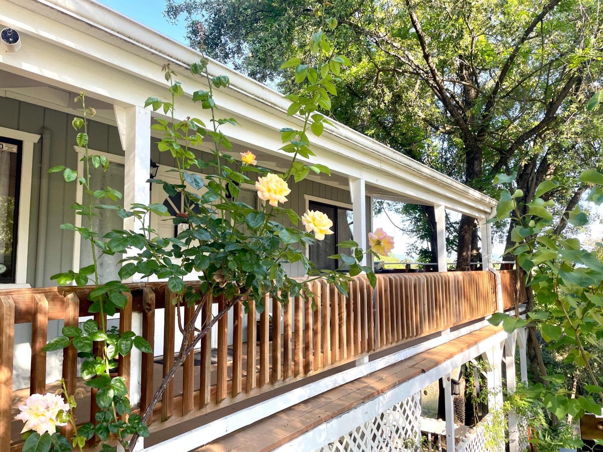 Sierra Mountain - Vacation - Yosemite Holiday home *
