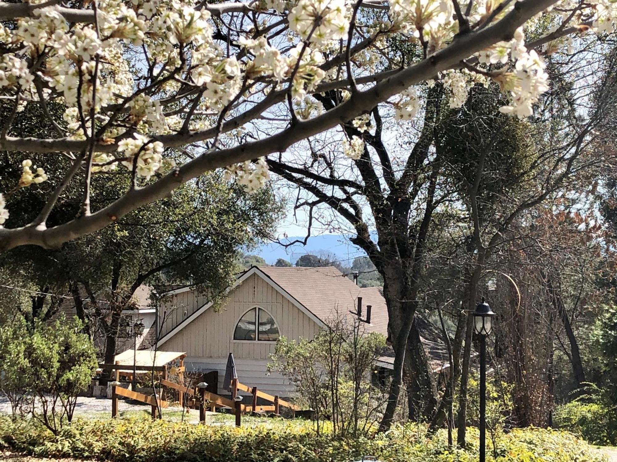 Sierra Mountain - Vacation - Yosemite Holiday home